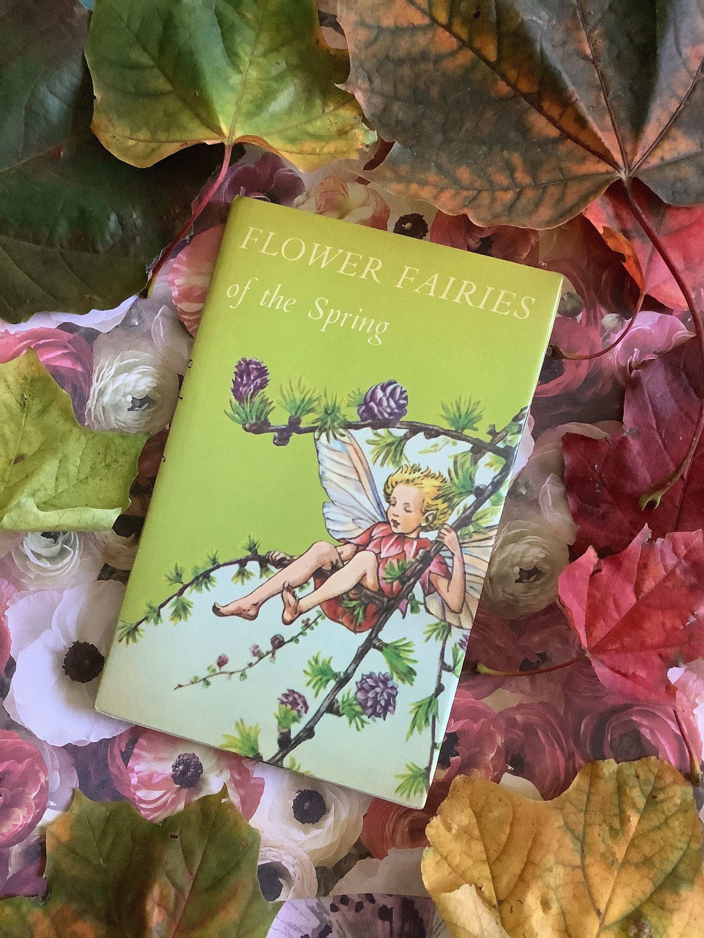 豆本★Flower Fairies Miniature Library★限定値下 豆本☆Flower Fairies Miniature Library☆限定値下 - メルカリ
