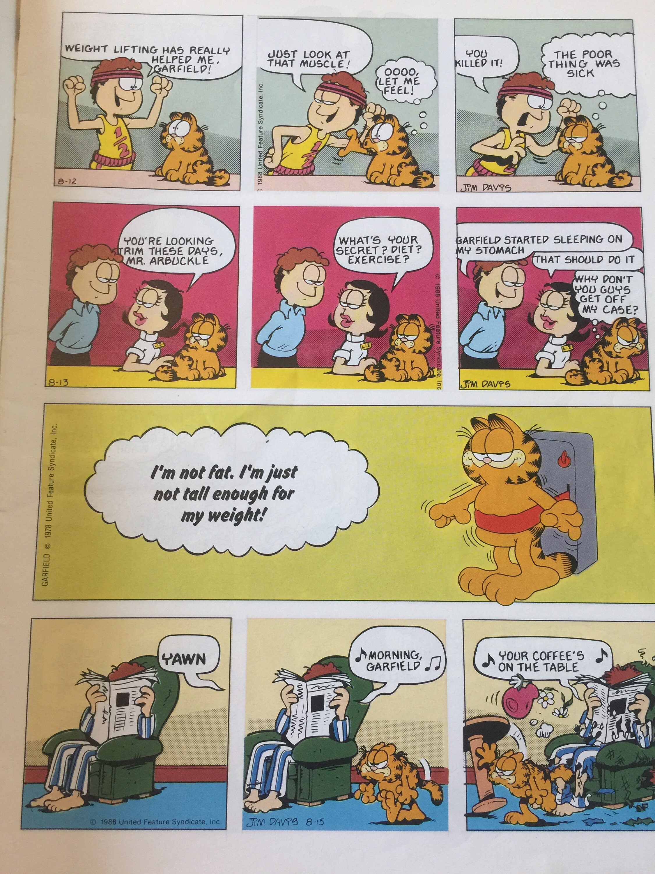 EXTREMADAMENTE Raro Vintage 1989 'Garfield' Comic | Etsy