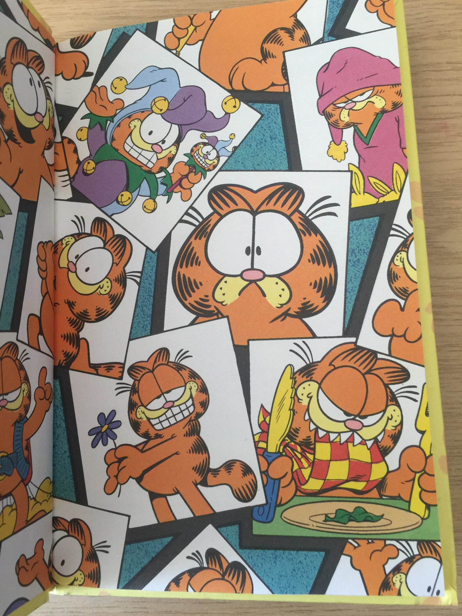 RARE First Edition Vintage 1991 'garfield Goes Flying' - Etsy