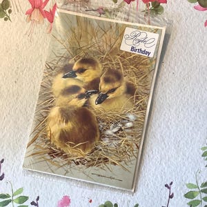 Uiterst ZELDZAME vintage open verjaardagskaart uit de jaren 1970 met PRACHTIG Canada Goslings-ontwerp naar een schilderij van Basil Ede - van kaart naar lijst