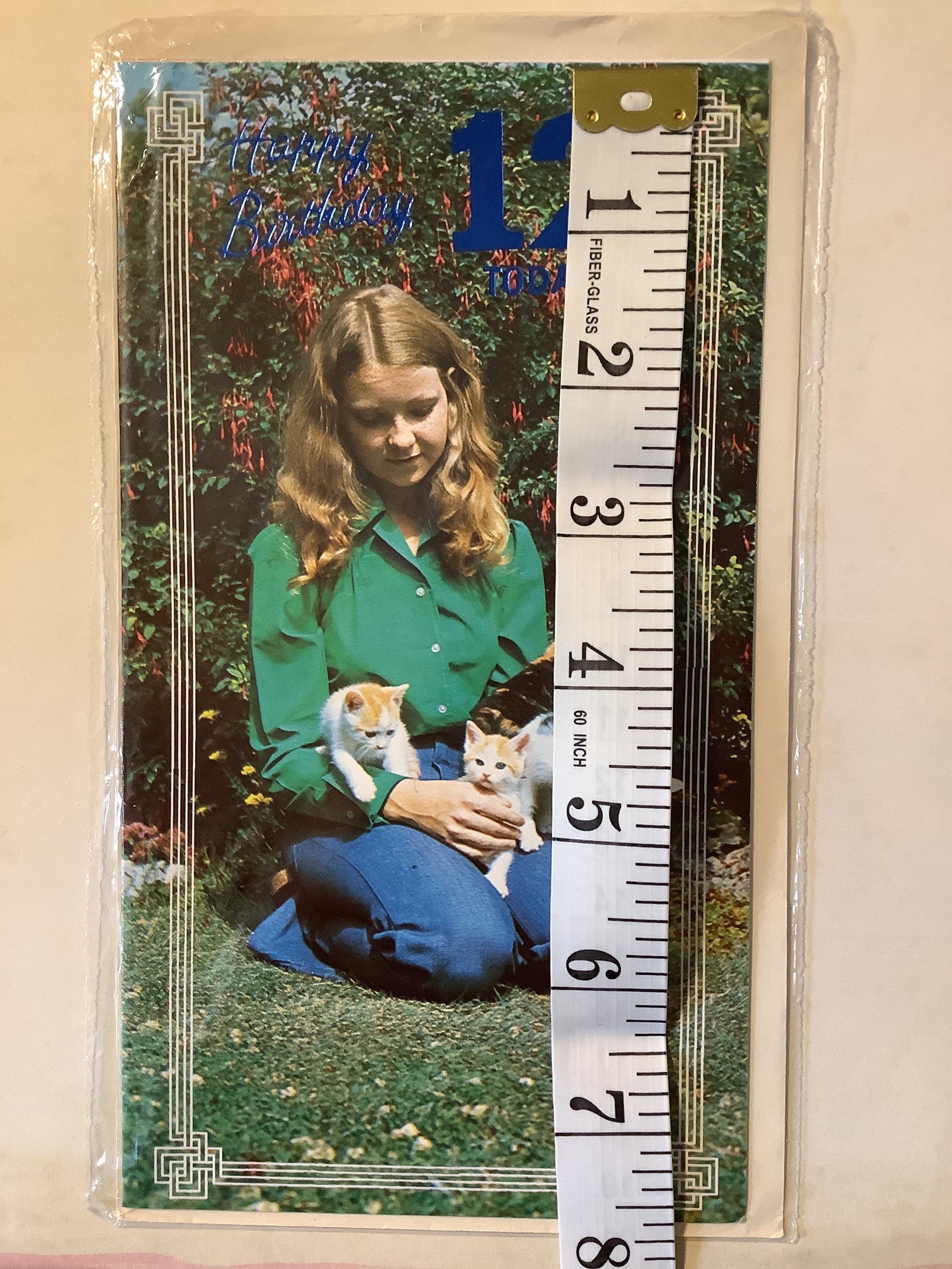 RARE Vintage Circa 1970s 'happy Birthday 12 Today' Retro Girl & Kittens ...