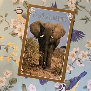EXTREMAMENTE RARO, por volta dos anos 70, 'Feliz Aniversário, Vovô' IMPRESSIONANTE cartão retrô com fotos de elefante tirado por Frants Hartmann - Nostálgico - Amante de Elefantes