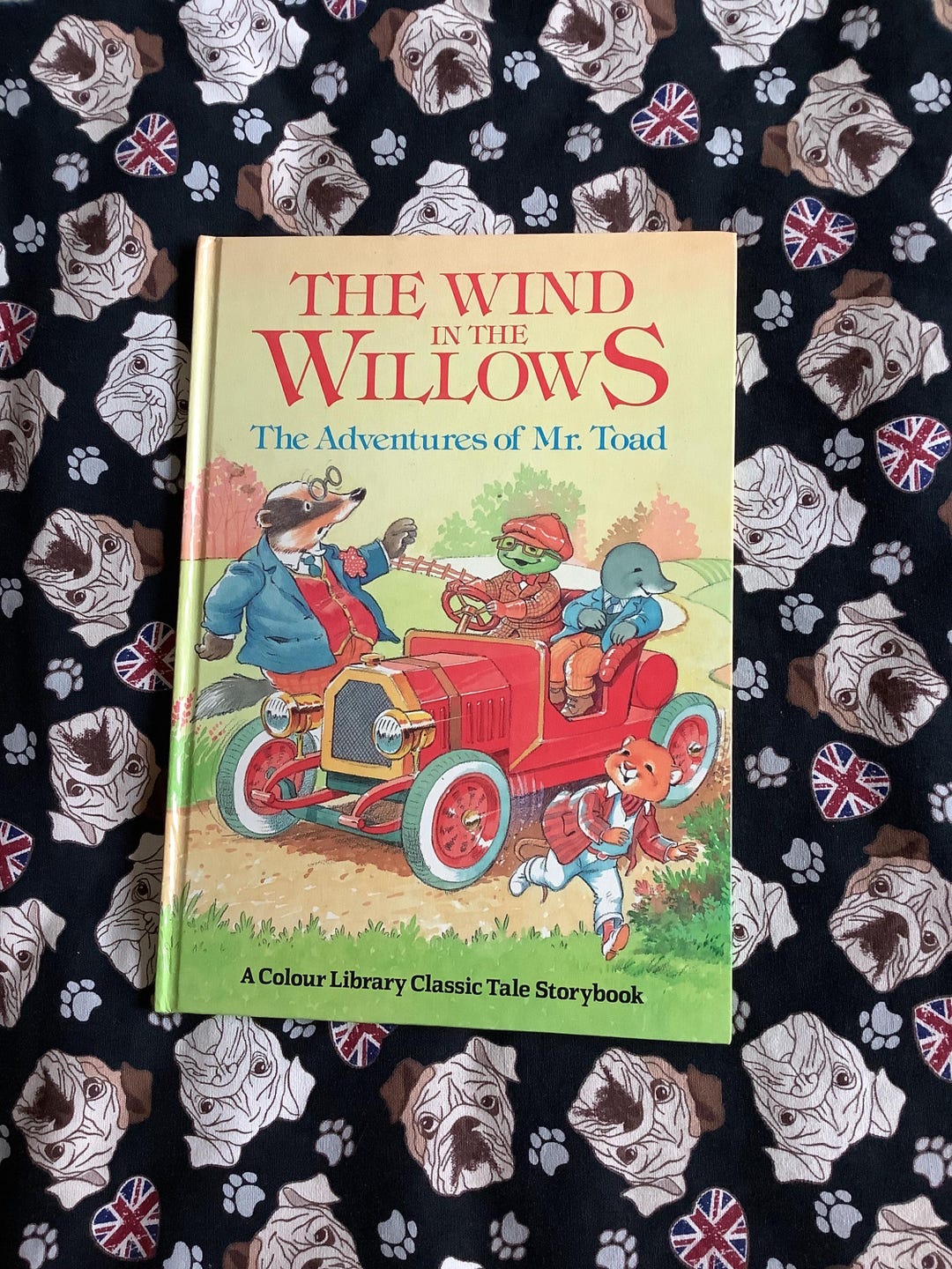 1991 Vintage Kenneth Grahame Children's Book the Wind in the Willows ...