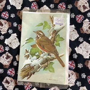 Tarjeta navideña vintage extremadamente rara de la década de 1970 con un impresionante diseño de zorzal alirrojo de una pintura de Basil Ede. Tarjeta para conservar o enmarcar.