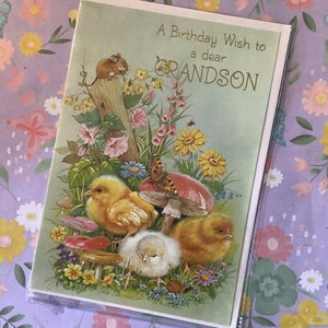 Cartão RARE True Vintage/Retro Circa 1970 'Um desejo de aniversário para um querido neto' projetado por Ray Cresswell - Cute Nature Design - Sweet Verse