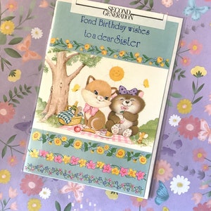 RARE Circa 1980s Vintage Inutilizzato 'Affettuosi auguri di compleanno a una cara sorella' Biglietto carino / retrò con cat & bear Picnic Design - Kitsch Loving Sister