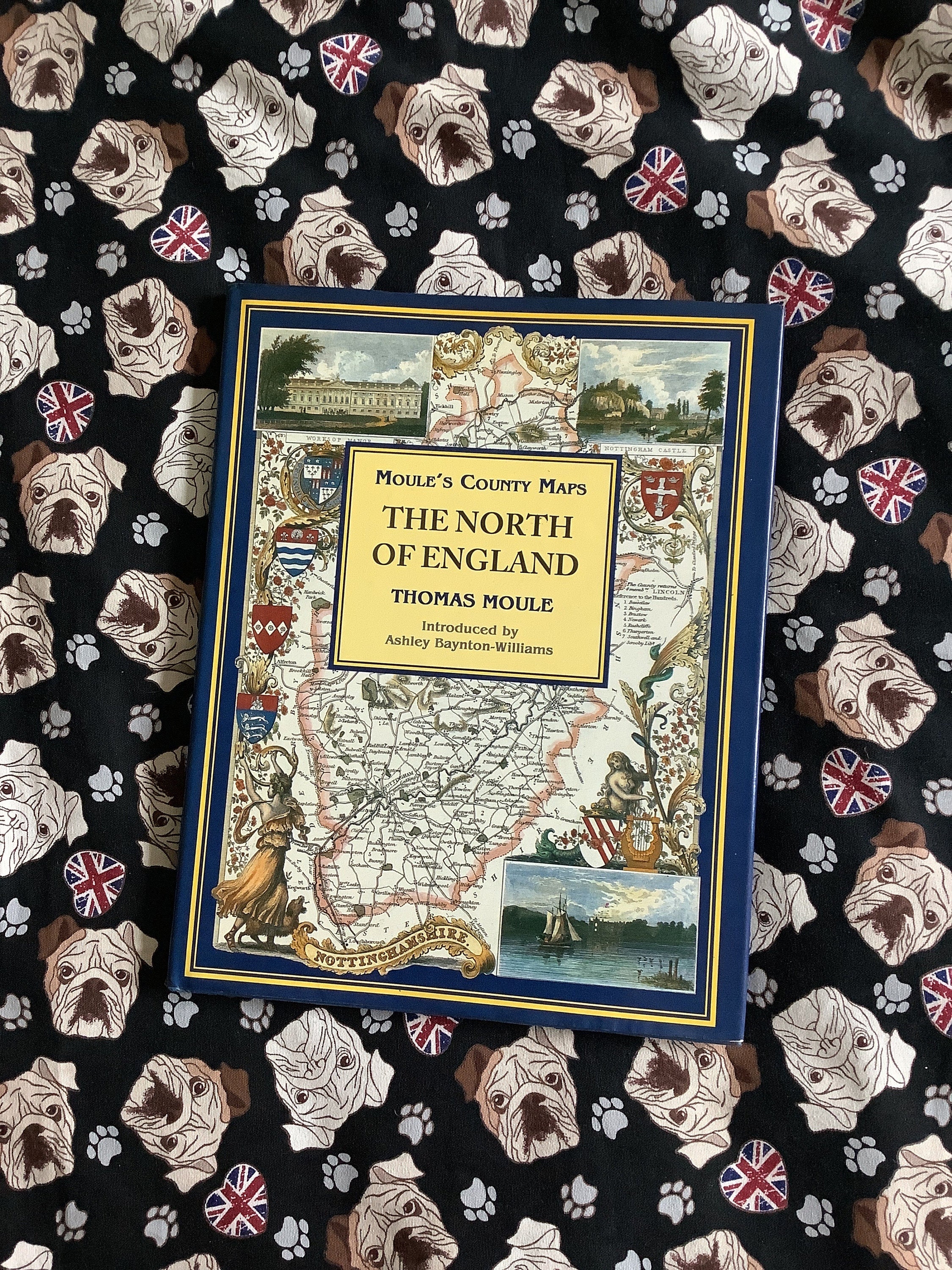 Stunning RARE Vintage 1994 Moule's County Maps the North of