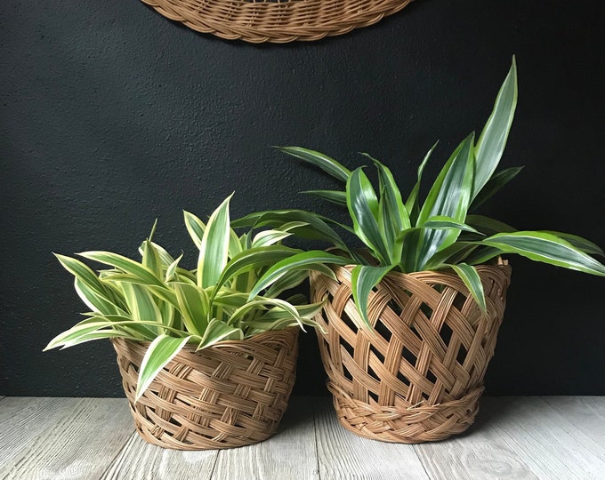 Vintage Pair Varied Size Wicker Basket Planters Bohemian Etsy