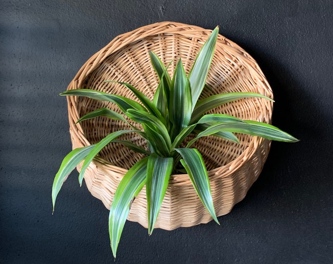 Vintage Wicker Wall Basket Large Wicker Wall Pocket Hanging Wicker