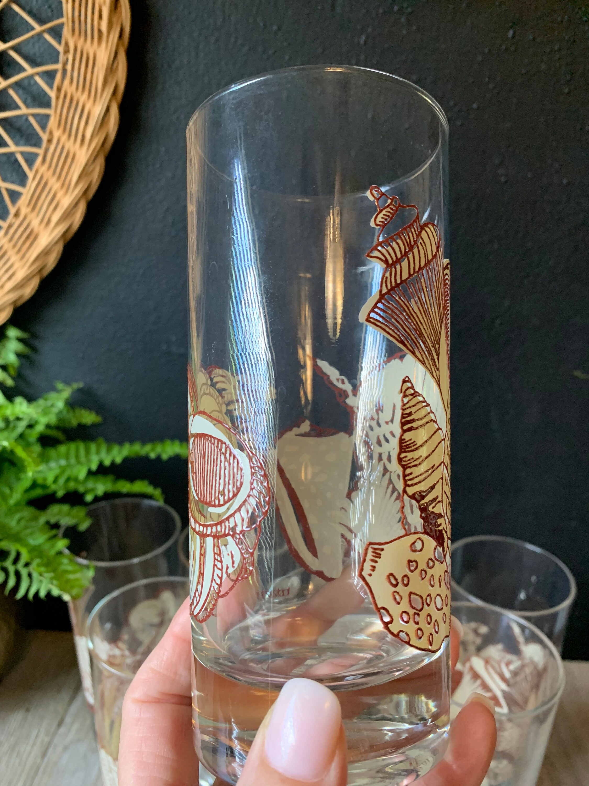 Vintage Sigma Seashell Glass Tumblers | Set of 8 | Coastal Glassware ...