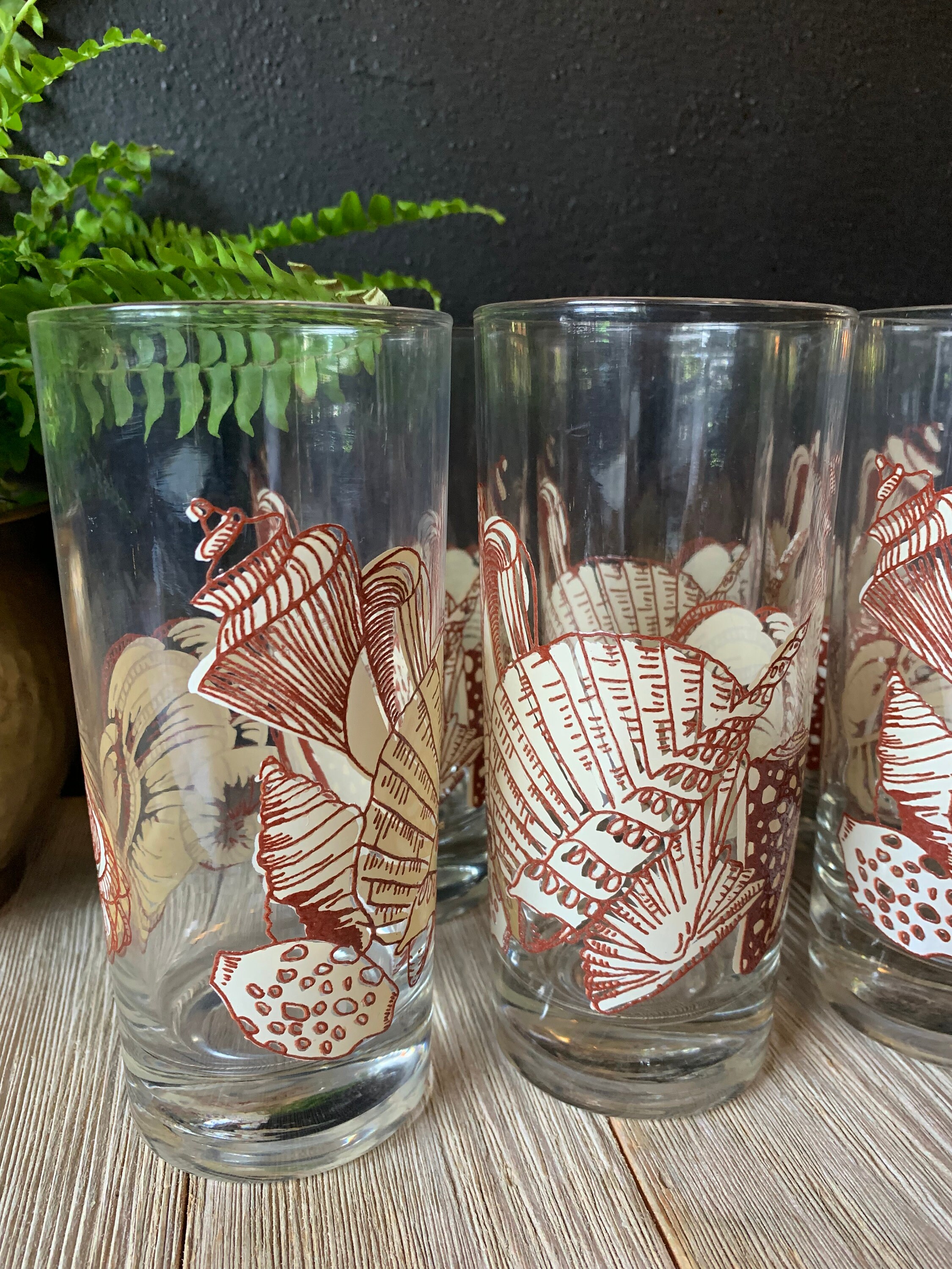 Vintage Sigma Seashell Glass Tumblers | Set of 8 | Coastal Glassware ...