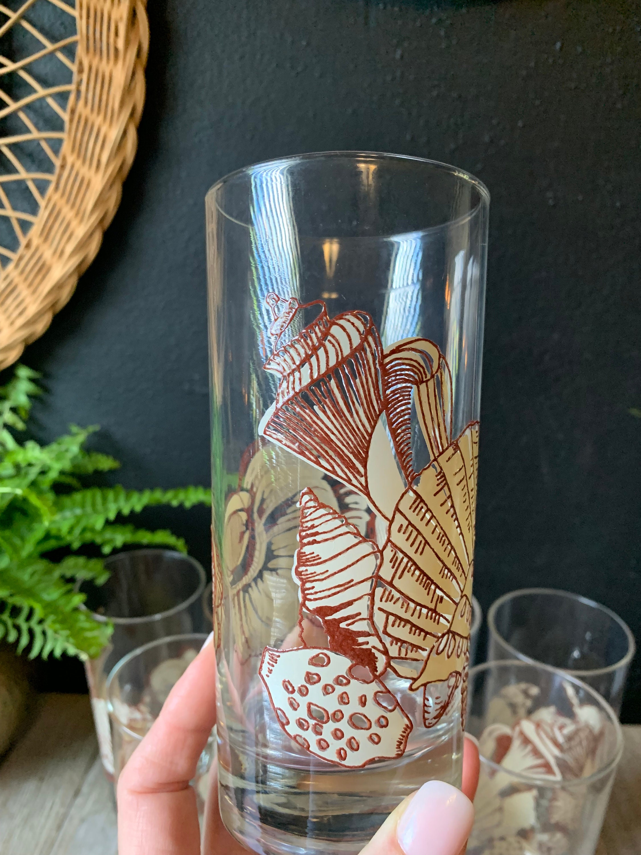 Vintage Sigma Seashell Glass Tumblers | Set of 8 | Coastal Glassware ...