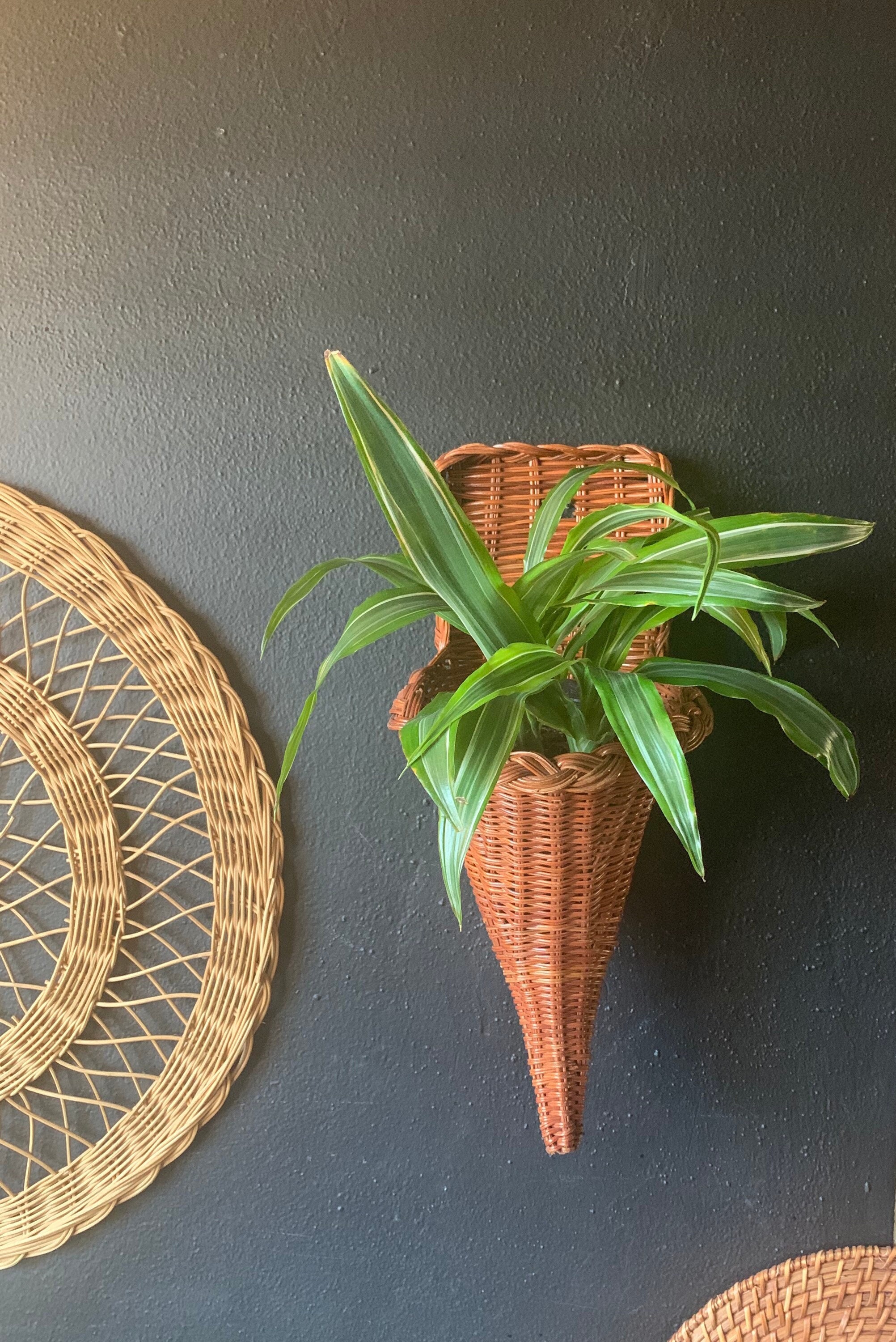 Cornucopia In Vimini Per Natale - Cestino Decorativo Ringraziamento - Centrotavola Festivo - Foto 2