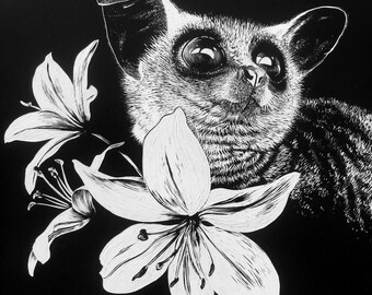 Pizzatoru bush baby with white lilies |  fine art print | signed by hand