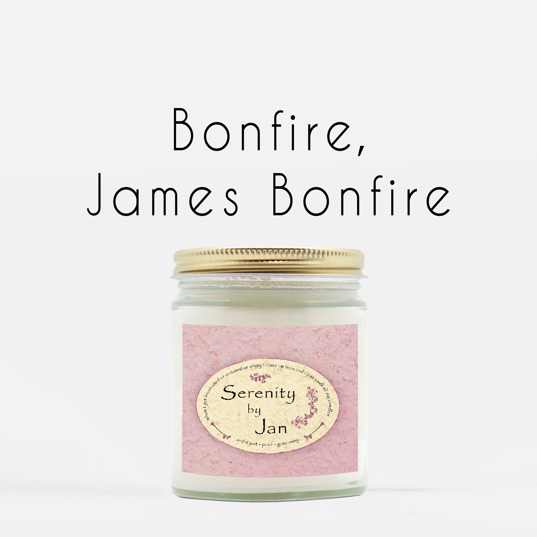 Serenity By Jan Candle Office Fan Gift The Office Dinner Etsy