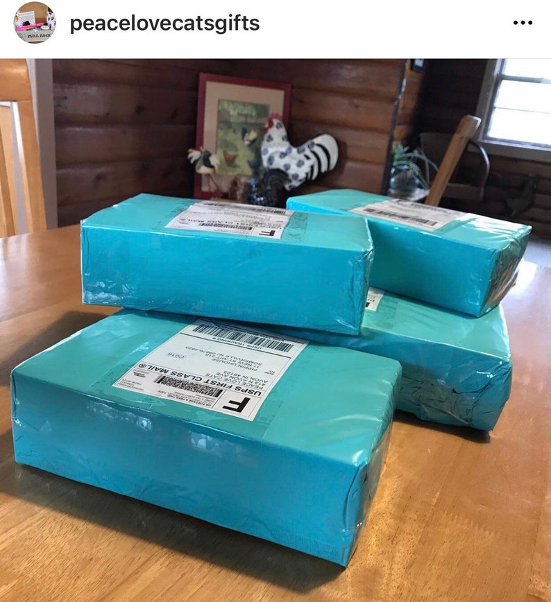 Puede incluir: Una pila de cuatro cajas de color azul turquesa con una etiqueta blanca en la caja superior que dice "USPS First Class Mail".