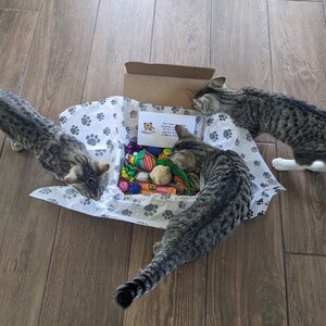 Puede incluir: Tres gatos atigrados mirando una caja llena de juguetes para gatos. La caja est&aacute; envuelta en papel de seda blanco con huellas de patas. Los juguetes incluyen una variedad de colores y texturas.