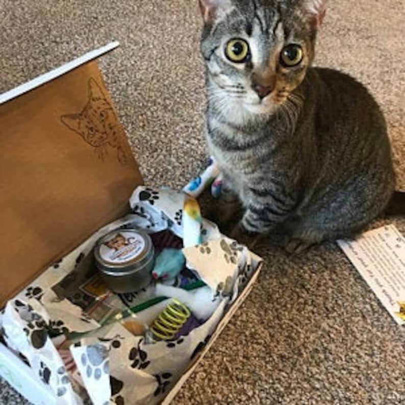 Puede incluir: Un gato atigrado gris se sienta junto a una caja abierta llena de juguetes para gatos. La caja est&aacute; decorada con huellas de patas y tiene una silueta de gato en la tapa. Los juguetes incluyen un rat&oacute;n de hierba gatera, una varita de plumas, un juguete de resorte y una bola de lana.
