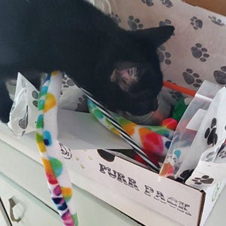 Puede incluir: Un gato negro investiga una caja llena de juguetes para gatos coloridos, incluyendo un juguete largo de color arco&iacute;ris, una bolsa de pl&aacute;stico transparente y un juguete rojo y naranja. La caja est&aacute; etiquetada como "Purr Pack".
