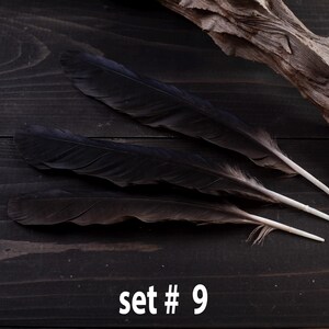 Black raven 3 feathers magic Witchcraft set#9