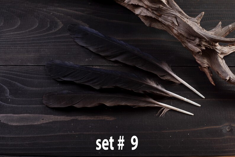 Black raven 3 feathers magic Witchcraft set#9