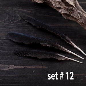 Black raven 3 feathers magic Witchcraft set#12