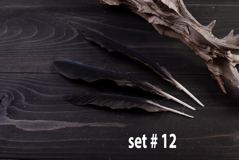 Black raven 3 feathers magic Witchcraft set#12