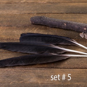 Black raven 3 feathers, magic, Witchcraft. Natural shedding. Good energy. image 6