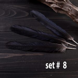 Black raven 3 feathers magic Witchcraft set#8