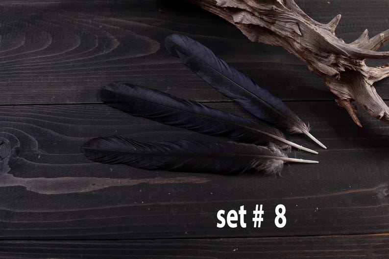 Black raven 3 feathers magic Witchcraft set#8