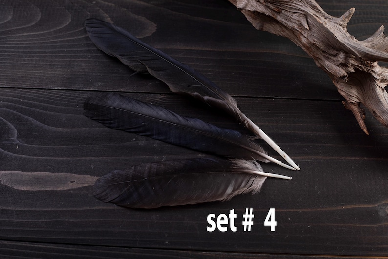 Black raven 3 feathers magic Witchcraft set#4