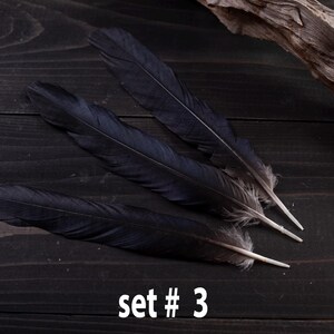 Black raven 3 feathers magic Witchcraft set#3