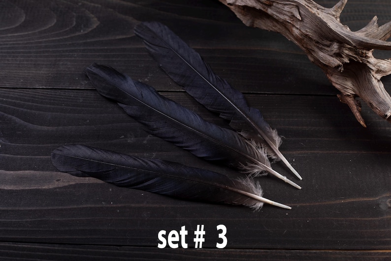Black raven 3 feathers magic Witchcraft set#3
