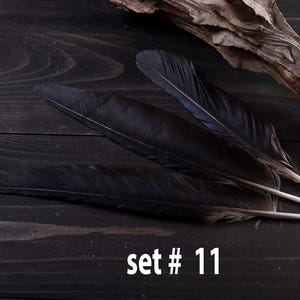 Black raven 3 feathers magic Witchcraft set#11