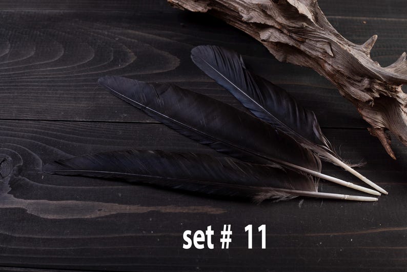 Black raven 3 feathers magic Witchcraft set#11