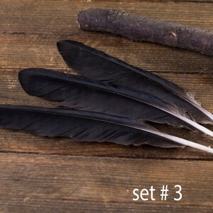 Black raven 3 feathers, magic, Witchcraft. Natural shedding. Good energy. image 4