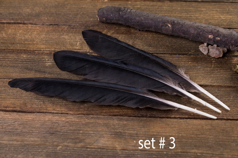 Black raven 3 feathers, magic, Witchcraft. Natural shedding. Good energy. image 4