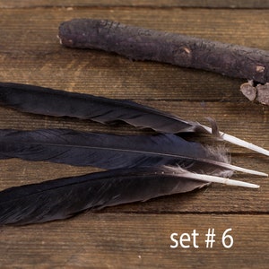 Black raven 3 feathers, magic, Witchcraft. Natural shedding. Good energy. image 7