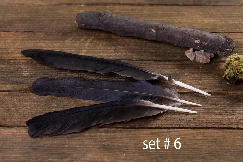 Black raven 3 feathers, magic, Witchcraft. Natural shedding. Good energy. image 7