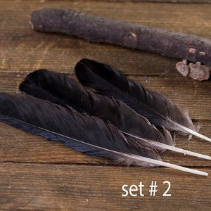 Black raven 3 feathers, magic, Witchcraft. Natural shedding. Good energy. image 3