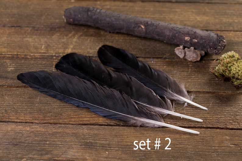 Black raven 3 feathers, magic, Witchcraft. Natural shedding. Good energy. image 3