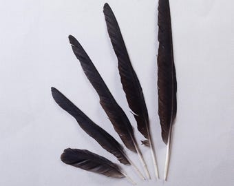 Black raven feathers set for craft, magic, Witchcraft. Natural shedding. Good energy. Wall decor decorate a hat Wing Smudge Fan Cruelty-free