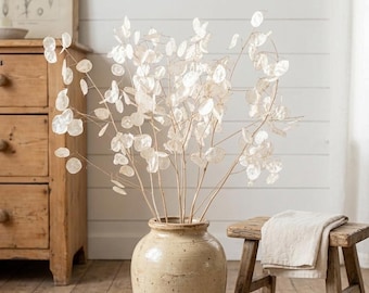 Lange Lunaria annua Zweige, getrockneter Strauß Geldpflanze, Silberdollar Pflanze Lunaria annua Biennis FÜR BODENVASE