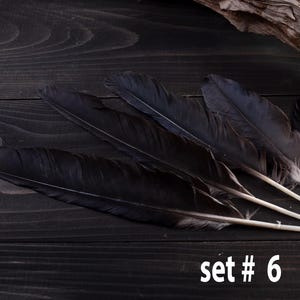 Black raven 3 feathers magic Witchcraft set#6