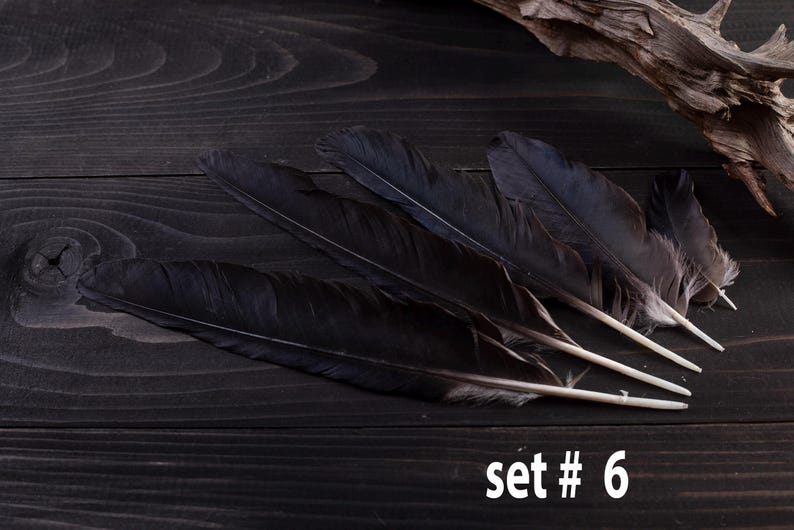 Black raven 3 feathers magic Witchcraft set#6