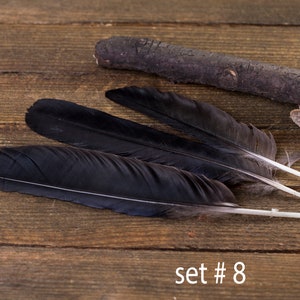 Black raven 3 feathers, magic, Witchcraft. Natural shedding. Good energy. image 8