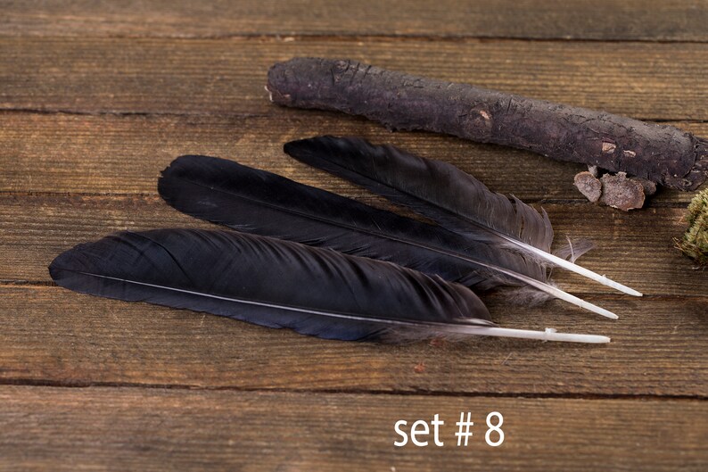 Black raven 3 feathers, magic, Witchcraft. Natural shedding. Good energy. image 8