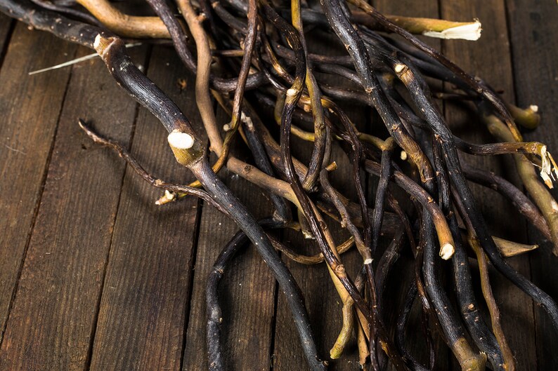 Corkscrew Curly Willow Dried branches Country wedding Etsy