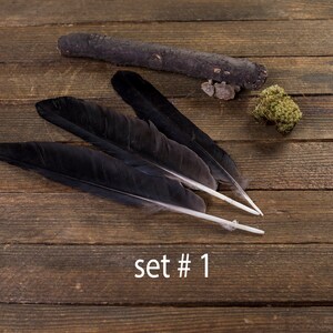 Black raven 3 feathers, magic, Witchcraft. Natural shedding. Good energy. image 2