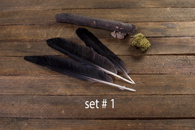 Black raven 3 feathers, magic, Witchcraft. Natural shedding. Good energy. image 2